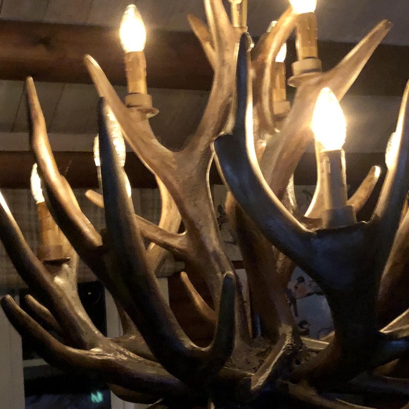 Lysekrone hjort. Gevirlampe