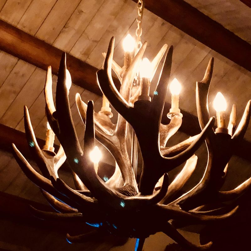 Lysekrone hjort. Gevirlampe