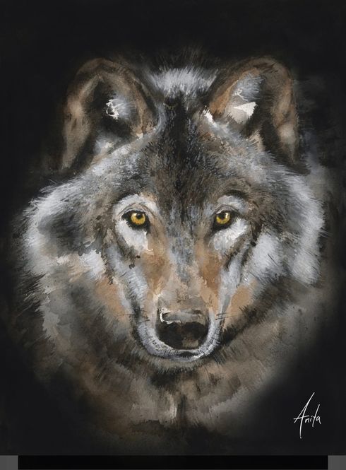 Hovedbilde Kunstplakat «Ulv» 50x70